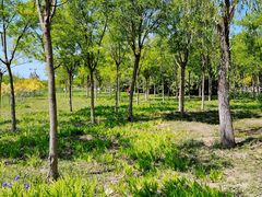 -天津东丽湖风景区