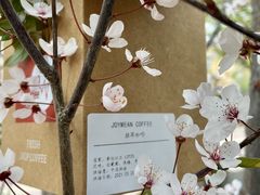 -Joymean coffee.见面咖啡