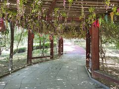 -西安汉城湖景区