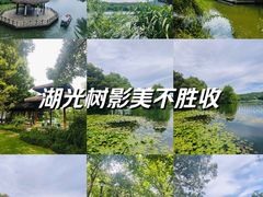 -茅家埠