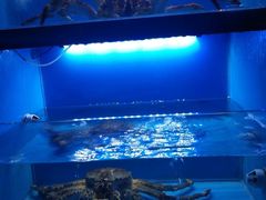 -月下料理(楷林IFC店)