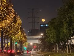 -杭州半山国家森林公园