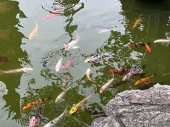 -吴作人艺术馆