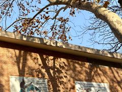 -西安电影制片厂