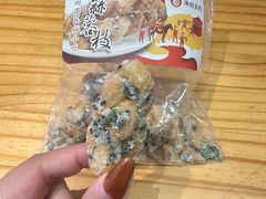 -海丝金凤(金鱼店)