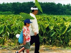 -万达影城(金华万达广场IMAX店)