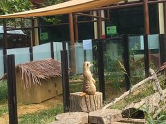 -大连森林动物园