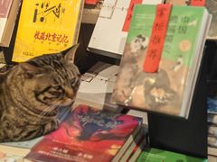 -正阳书局(西四南大街店)