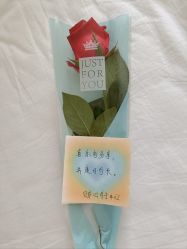-贝安心月子中心(昌平店)