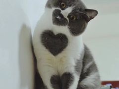 -火炉火自助餐(悠唐购物中心店)