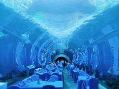 -海棠湾洲际-涛·海底餐厅·美人鱼·自助餐·海底隧道
