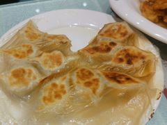 角瓜鸡蛋虾仁煎饺-添福来墨鱼饺子 · 海鲜东北菜(大连星海·黄浦路店)