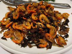 -新吉士·上海菜(浦东LCM置汇旭辉店)