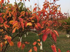 -艾溪湖湿地公园