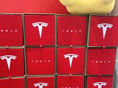 -TESLA 特斯拉(北京南四环中路特斯拉中心)