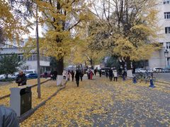 -四川大学(华西校区)