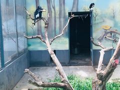 -龙口动植物园