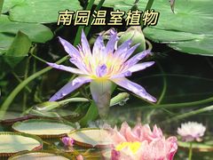 -国家植物园