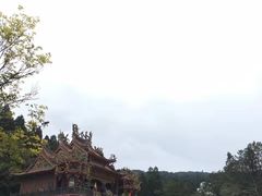 -阿里山神木遗迹