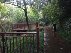 -杭州半山国家森林公园