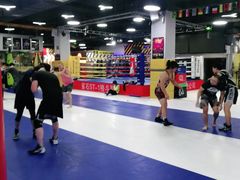 -鲨石格斗联盟(双井店)