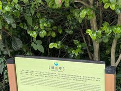 -九龙潭景区