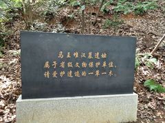 -马王堆汉墓遗址