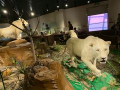 -陕西自然博物馆