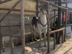 -清风小镇闯关东影视基地