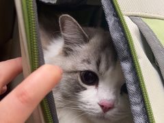 -美联众合动物医院·24h转诊中心