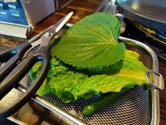 -Dombe豚(黑猪肉街店)