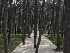 -林海公园