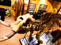 -信不信由你博物馆