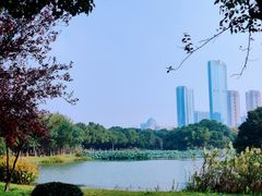 -艾溪湖湿地公园