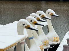 -西安汉城湖景区