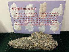 -中国第四纪冰川遗迹陈列馆