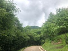 -大水川景区
