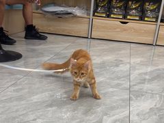 -德元·美联众合24小时动物医院(总院)