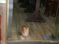 -巧云大馄饨(南阴阳营总店)