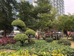 -荔湾区儿童公园