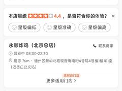 -永顺炸鸡(北京总店)