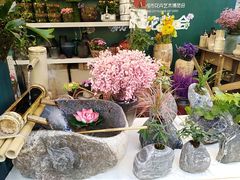 -重庆市江北嘴中央商务区中央公园