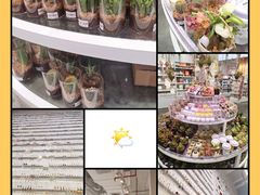 -KKV(深圳kk one 店)
