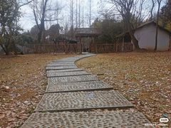 -兰亭风景区