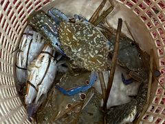 -源海渔村·现捞海鲜(大角湾店)