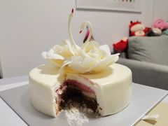 -BLACKSWAN黑天鹅(环球店)