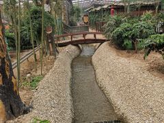 -呀路古热带植物园