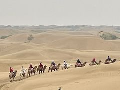 -银肯塔拉沙漠生态旅游景区