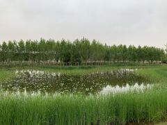 -东郊湿地公园