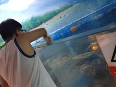 -烟台海昌鲸鲨海洋公园